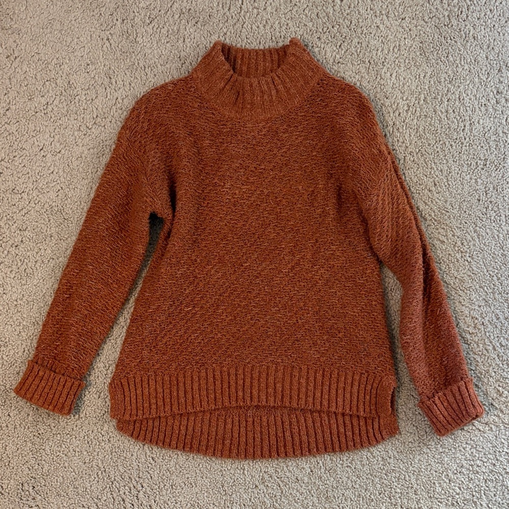 Democracy Warm Cinnamon Turtleneck Sweater
